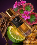 عطر لوما
